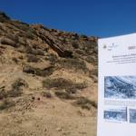 Autor: Descobrim el Segrià